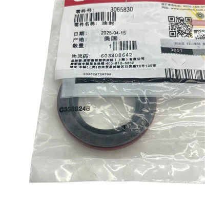 5.9 Σφραγίδες λαδιού υπερσυμπιεστή Cummins 3065830 3099199 3102800